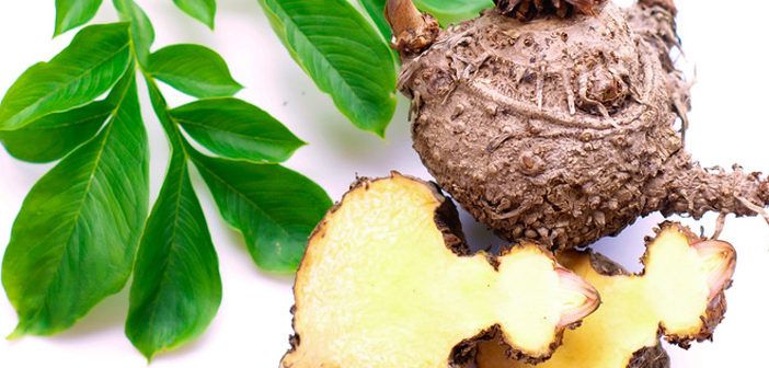 glucomannan glucomanan glucomanano onde comprar benefícios